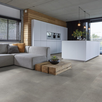 Floorlife Floorlife Composite Plak PVC Tegelvloer - Light Grey