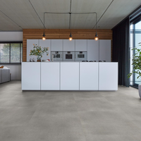 Floorlife Floorlife Composite XL Plak PVC Tegelvloer - Light Grey