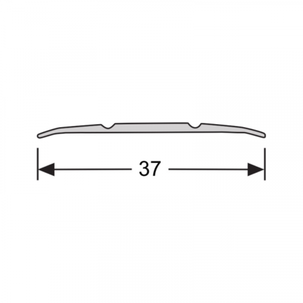 PPC Dilatatieprofiel - Zelfklevend - Aluminium - 100x3,7cm - Geborsteld RVS