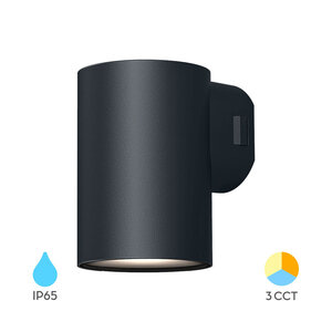 Braytron Vekta LED Wand Lamp - 9W - IP65 - CCT - Zwart