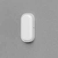 Braytron Braytron LED Wand Lamp - 12W - IP65 - CCT - Wit