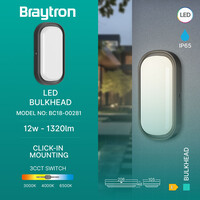 Braytron Braytron LED Wand Lamp - 12W - IP65 - CCT - Zwart