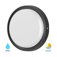 Braytron Braytron LED Wand Lamp - Rond - 12W - IP65 - CCT - Zwart