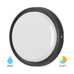 Braytron LED Wand Lamp - Rond - 12W - IP65 - CCT - Zwart