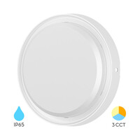 Braytron Braytron LED Wand Lamp - Rond - 18W - IP65 - CCT - Wit