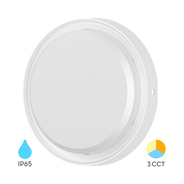 Braytron Braytron LED Wand Lamp - Rond - 18W - IP65 - CCT - Wit
