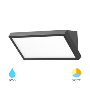 Braytron Napoli LED Wand Lamp - 20W - IP65 - CCT - Antraciet