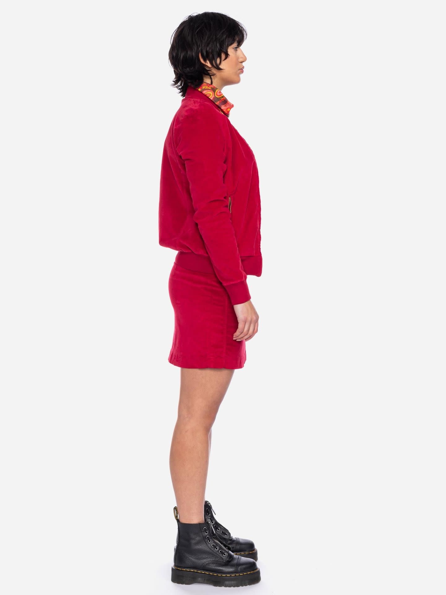 Jack Bebe, dahlia 49764-4