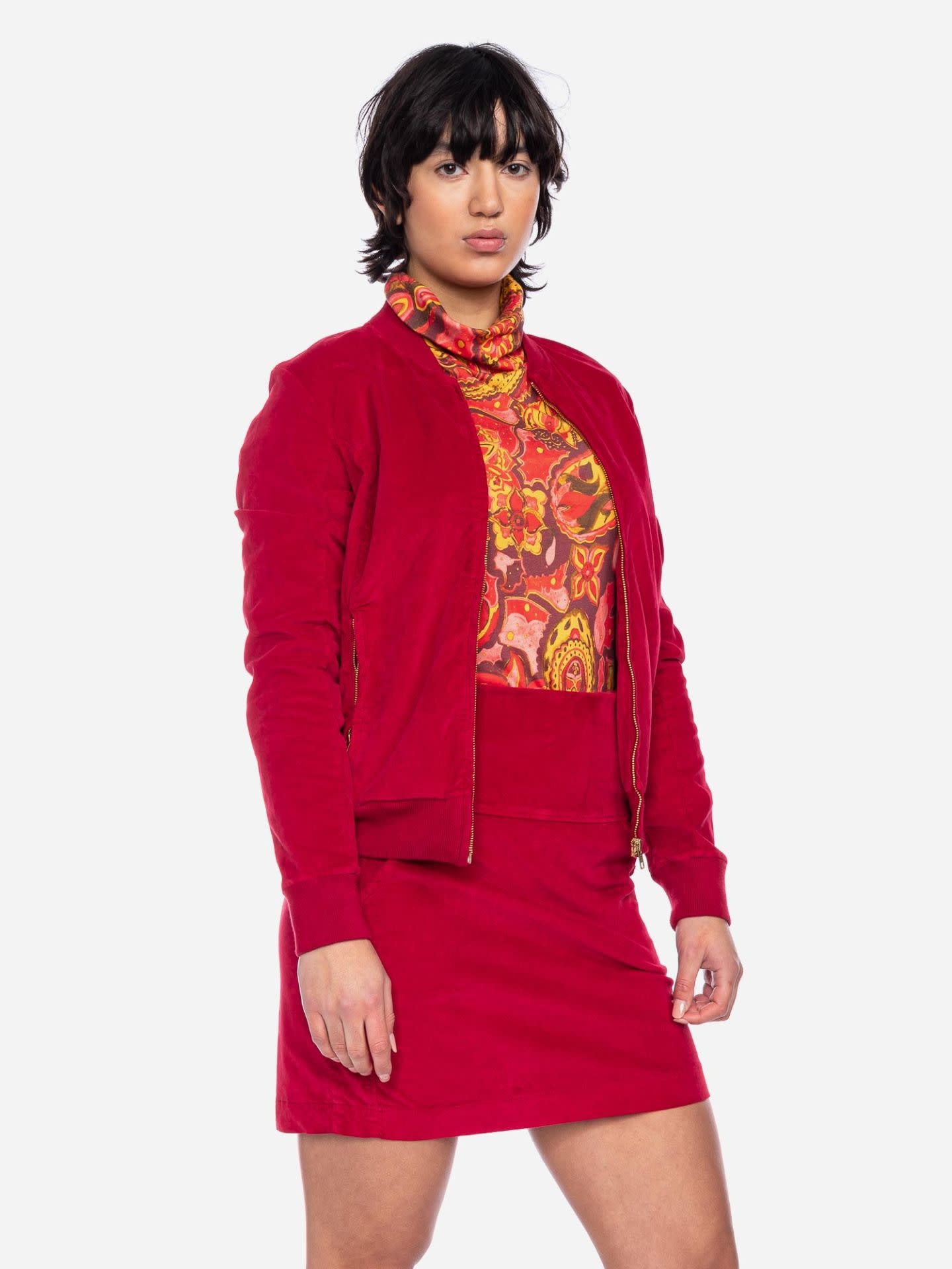 Jack Bebe, dahlia 49764-1