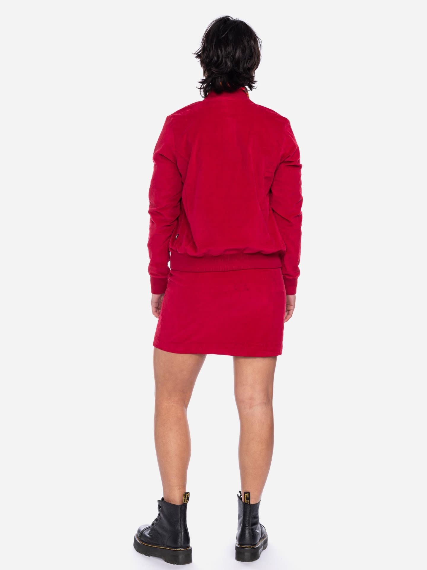 Jack Bebe, dahlia 49764-6