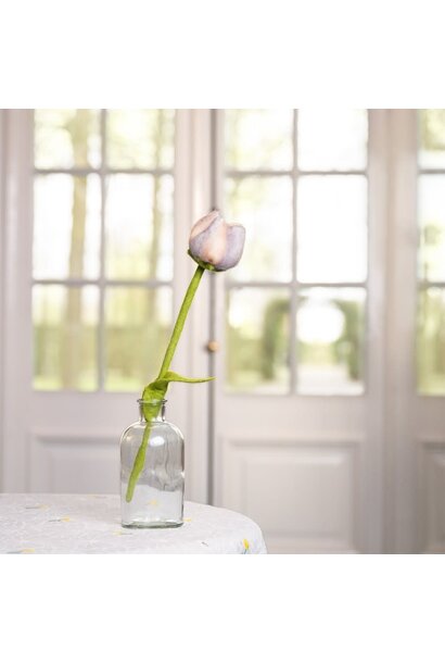 Vilt tulp Livia