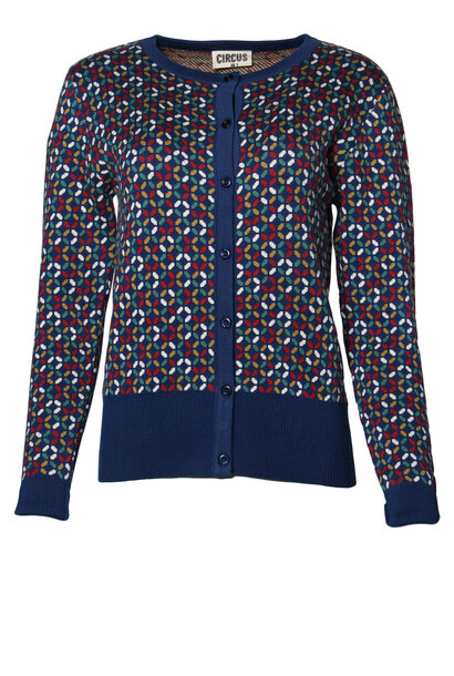 Vest roulade ck05