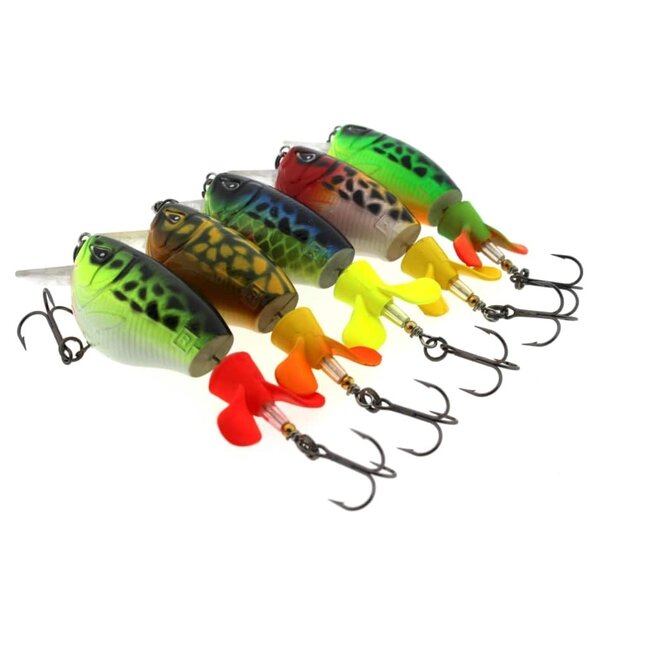 rozemeijer fat dizzy **laatste kans**