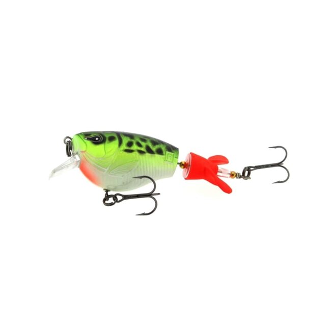 rozemeijer fat dizzy **laatste kans**