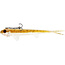 westin twinteez pelagic  "rigged & ready"