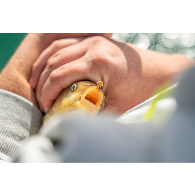 matrix super soft bait bands