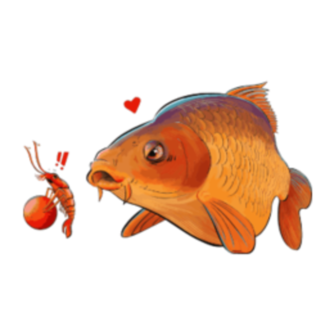 cuyten boilies drukz pellets