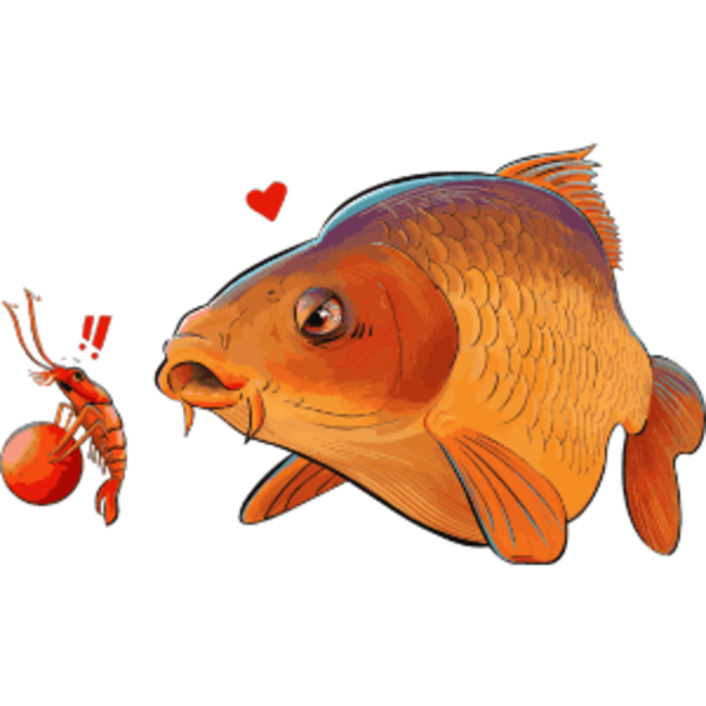 cuyten boilies drukz bait pasta