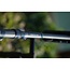 sonik xtractor pro cork carp rod