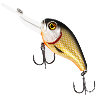 westin megabite dr crankbait