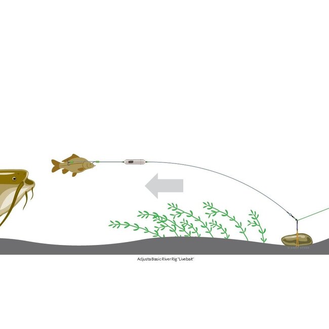 madcat adjusta basic river rig - livebait