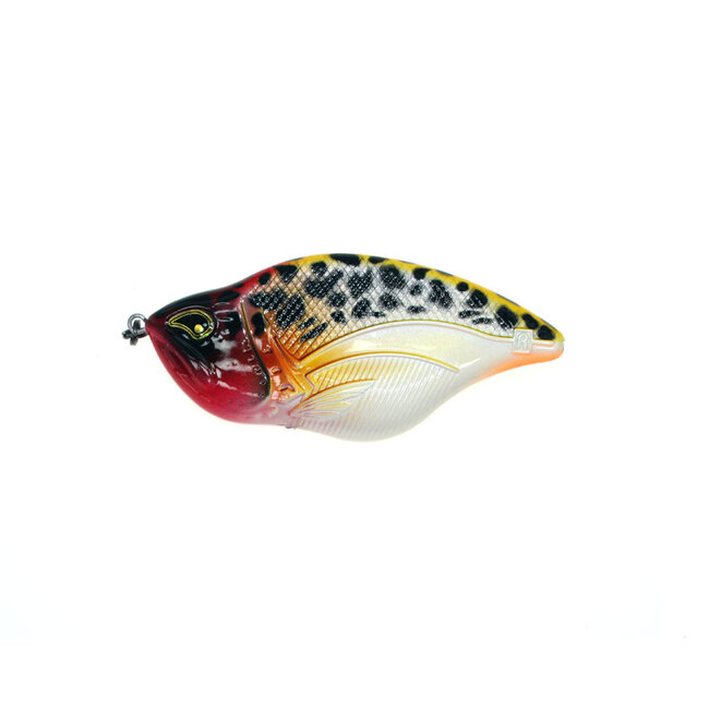 rozemeijer maori **laatste kans**