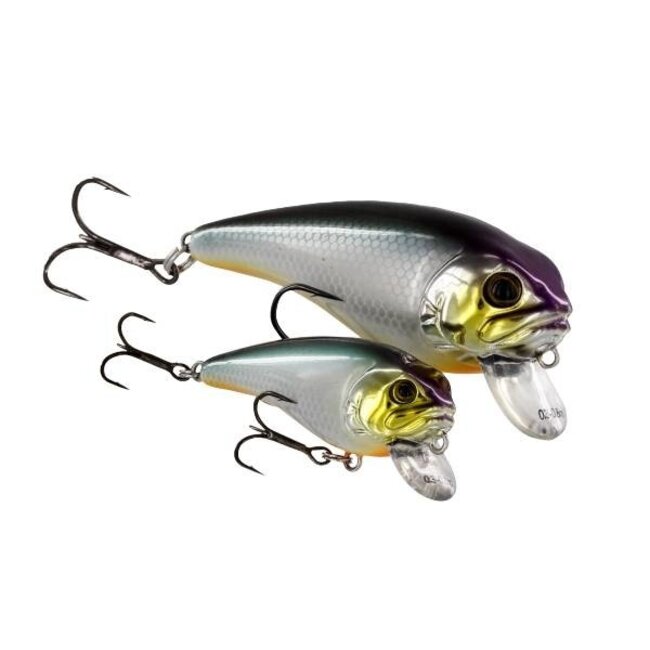 westin fatbite crankbait floating