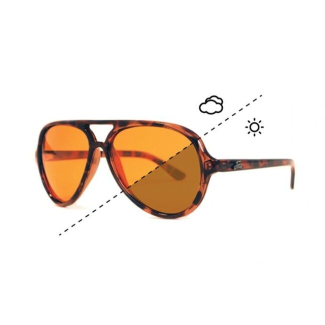 fortis eye wear the aviator