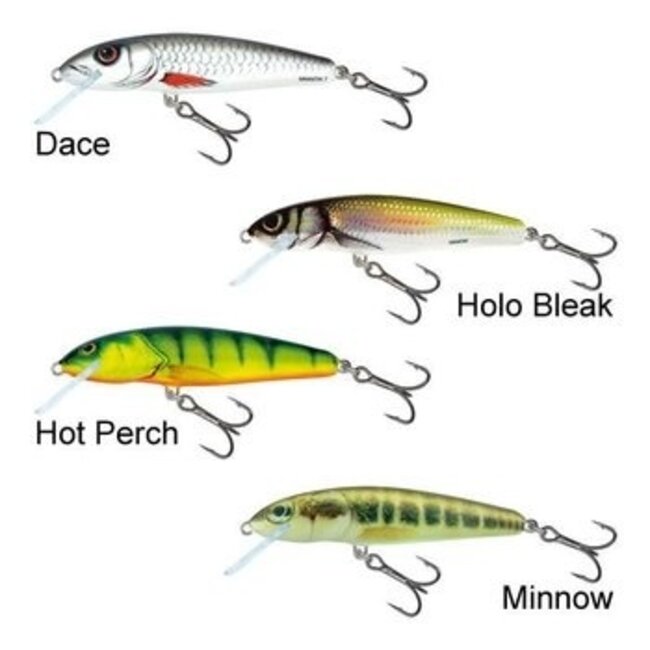 salmo minnow 7cm sinking