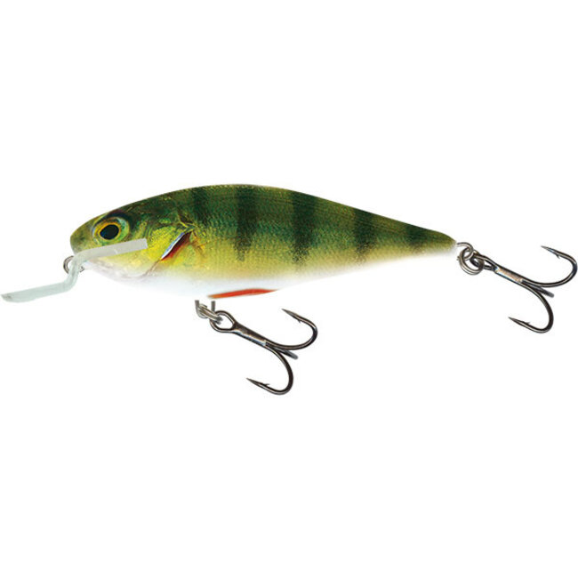 salmo executor 12cm shallow runner **laatste kans**