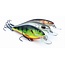 salmo executor 9cm shallow runner **laatste kans**