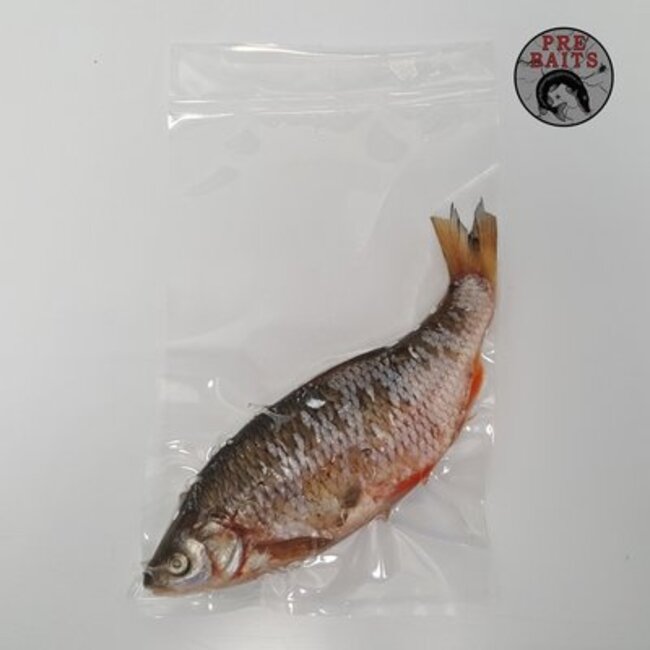 pre-baits doodaas voorn