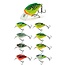 salmo squarebill floating 5 cm **laatste kans**