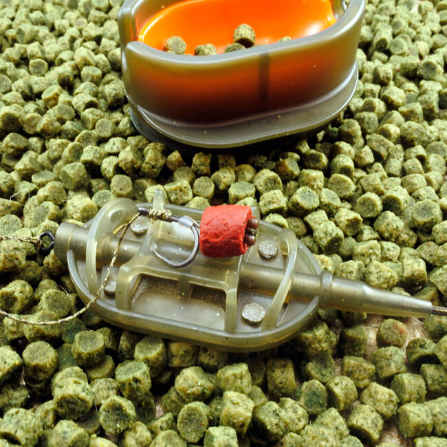 life orange feeder spider flat