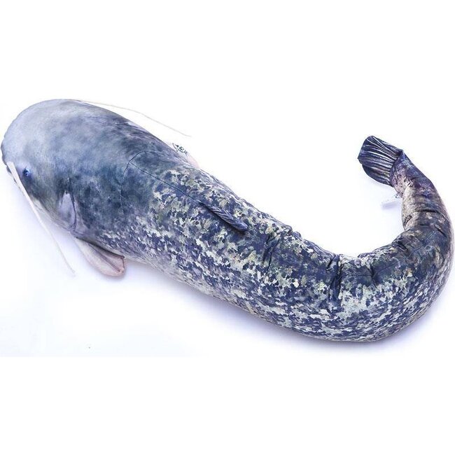 elite meerval kussen