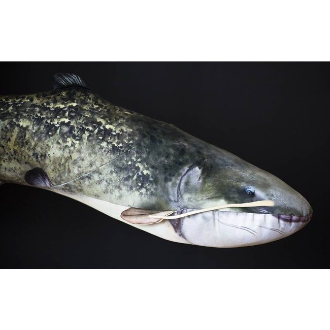 elite meerval kussen