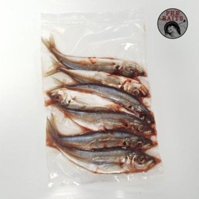pre-baits doodaas horsmakreel
