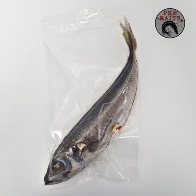 pre-baits doodaas horsmakreel