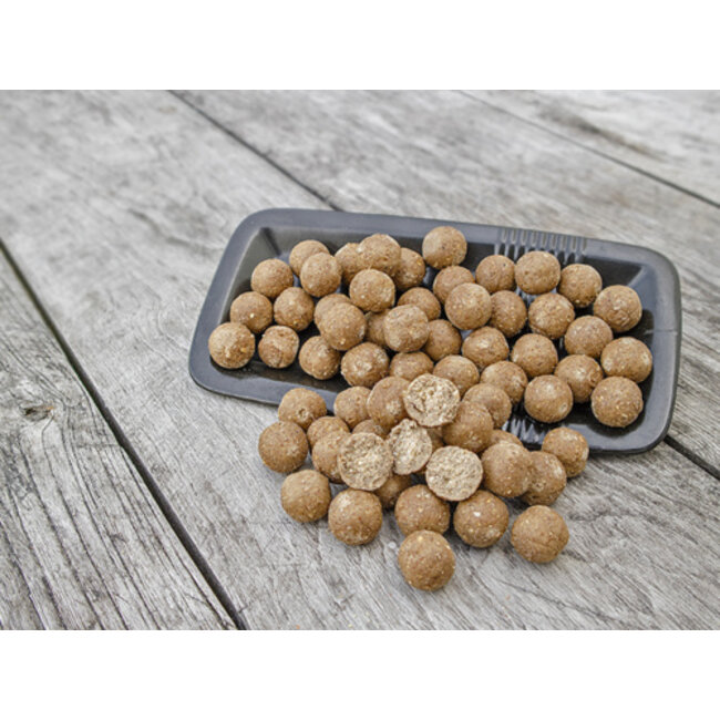 grainbaits scopex cream belachan boilies