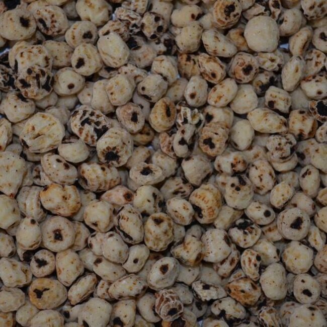 allinpartikels tijgernoten wit