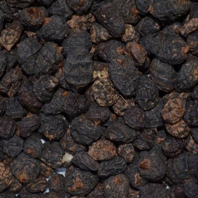 allinpartikels tijgernoten zwart xxl