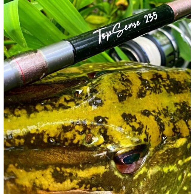 rozemeijer topsense spin hengel