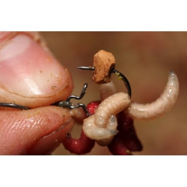 korda maggot clip
