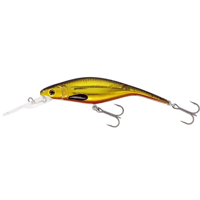 westin platypus p10  floating dr