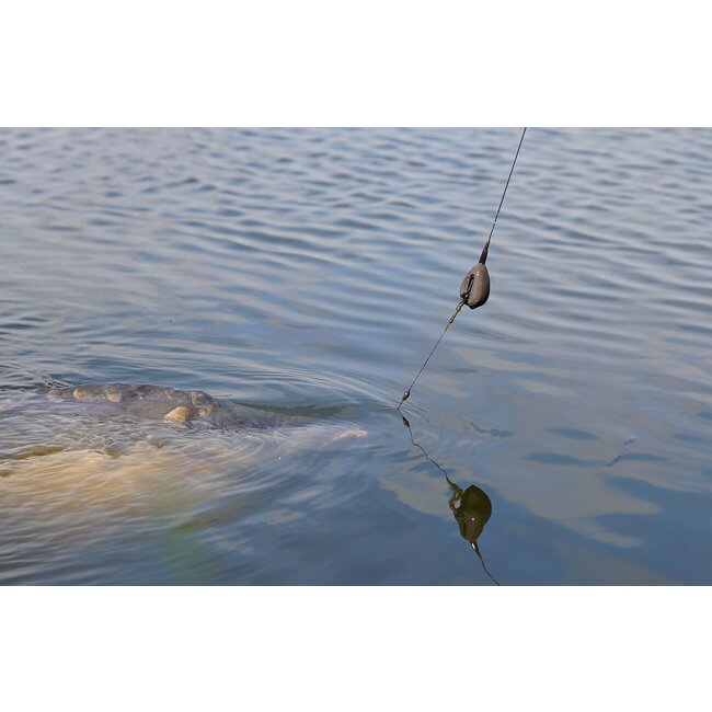 pole position central shocker system action pack eva