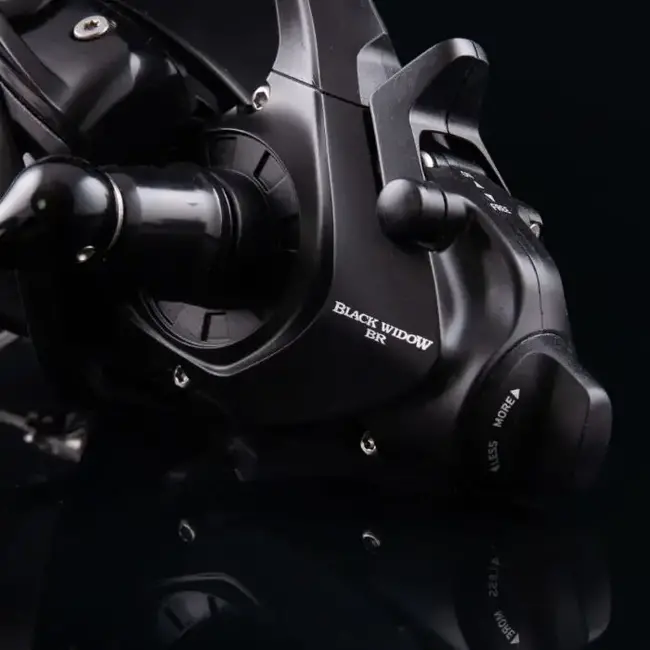 daiwa 19 black widow br lt 5000c