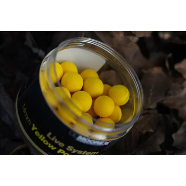 CC Moore live system yellow pop ups