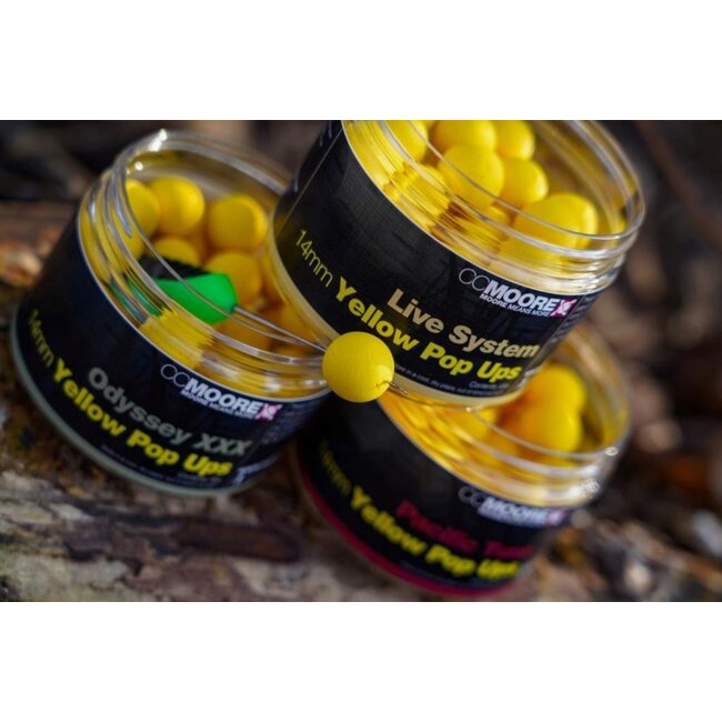 CC Moore odyssey xxx yellow pop ups