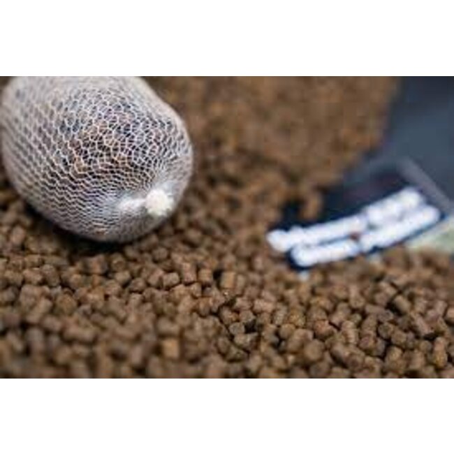 CC Moore odyssey xxx pellets