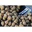 CC Moore odyssey xxx shelf live boilies 5kg